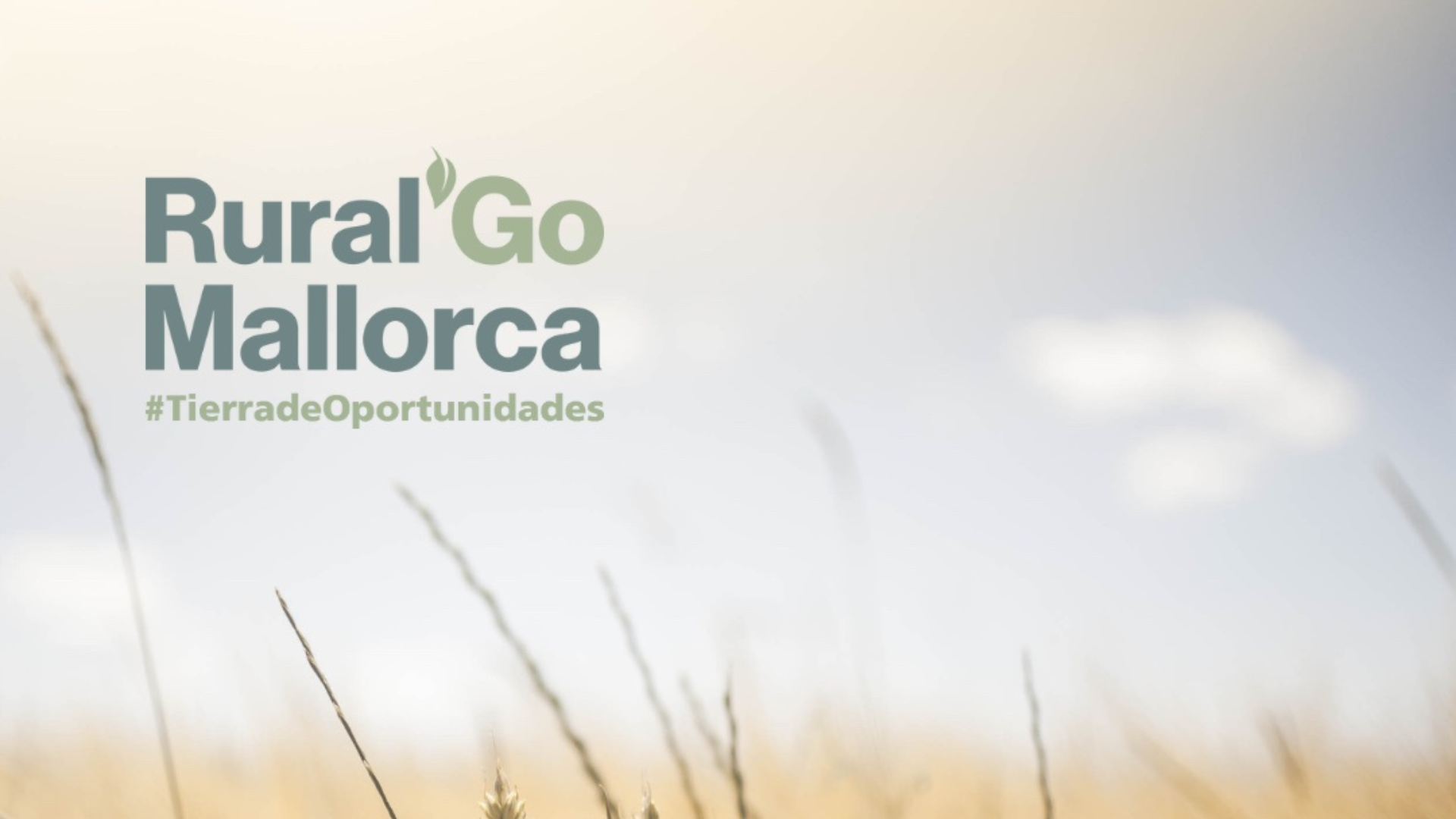 Mallorca Rural organitza els nous premis Rural’GO per impulsar la consolidació d’empreses en l’àmbit rural